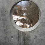 IMG_7293