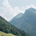 DSCF8698